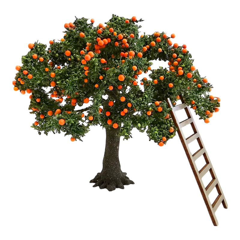 Arbre Oranger 15cm avec échelle